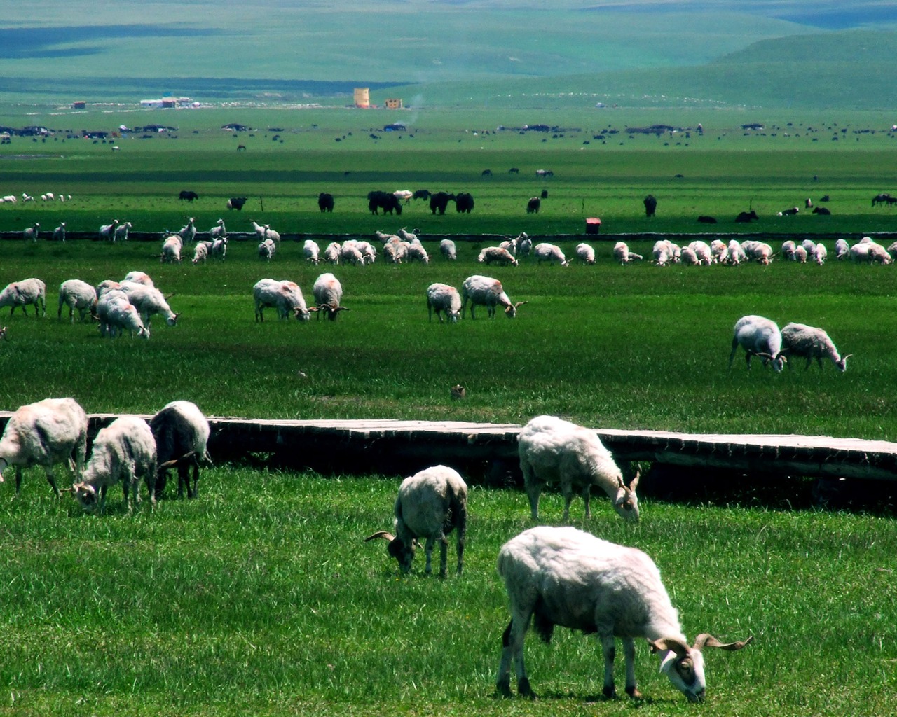 Aba sběru lidových písní (1) (červi každý den práce) #27 - 1280x1024