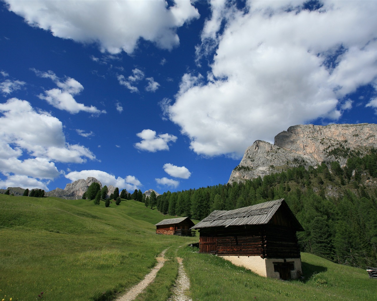Canon EOS 5D proofs Wallpaper #3 - 1280x1024