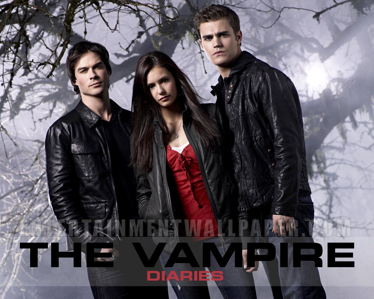 The Vampire Diaries wallpaper #5 - 1280x1024