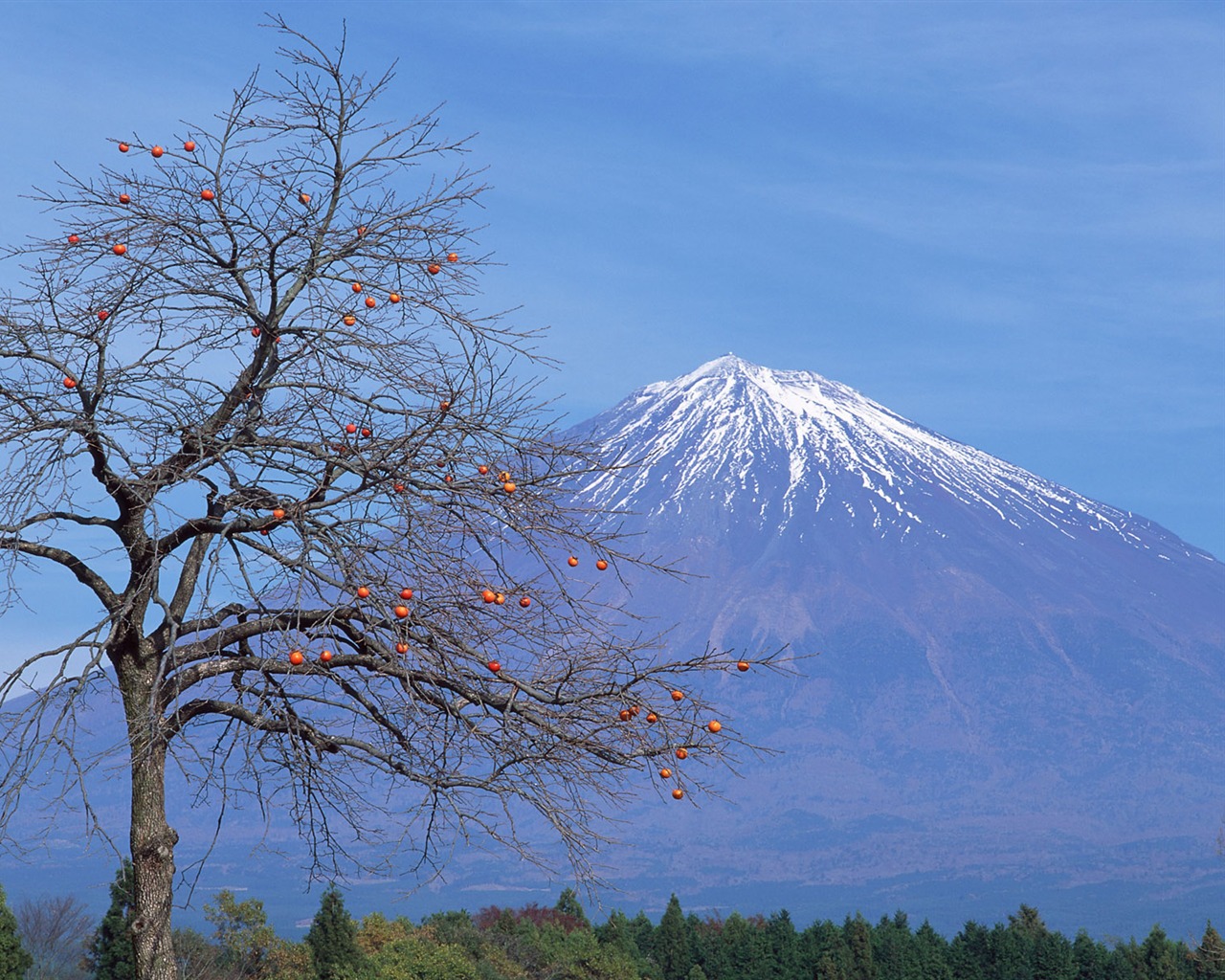 Fuji Krajina Tapety Album #26 - 1280x1024
