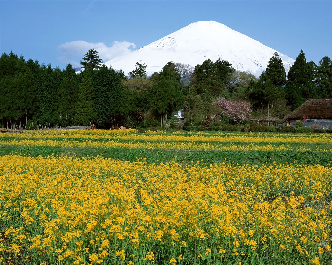 Fuji écran paysages Album #36 - 1280x1024
