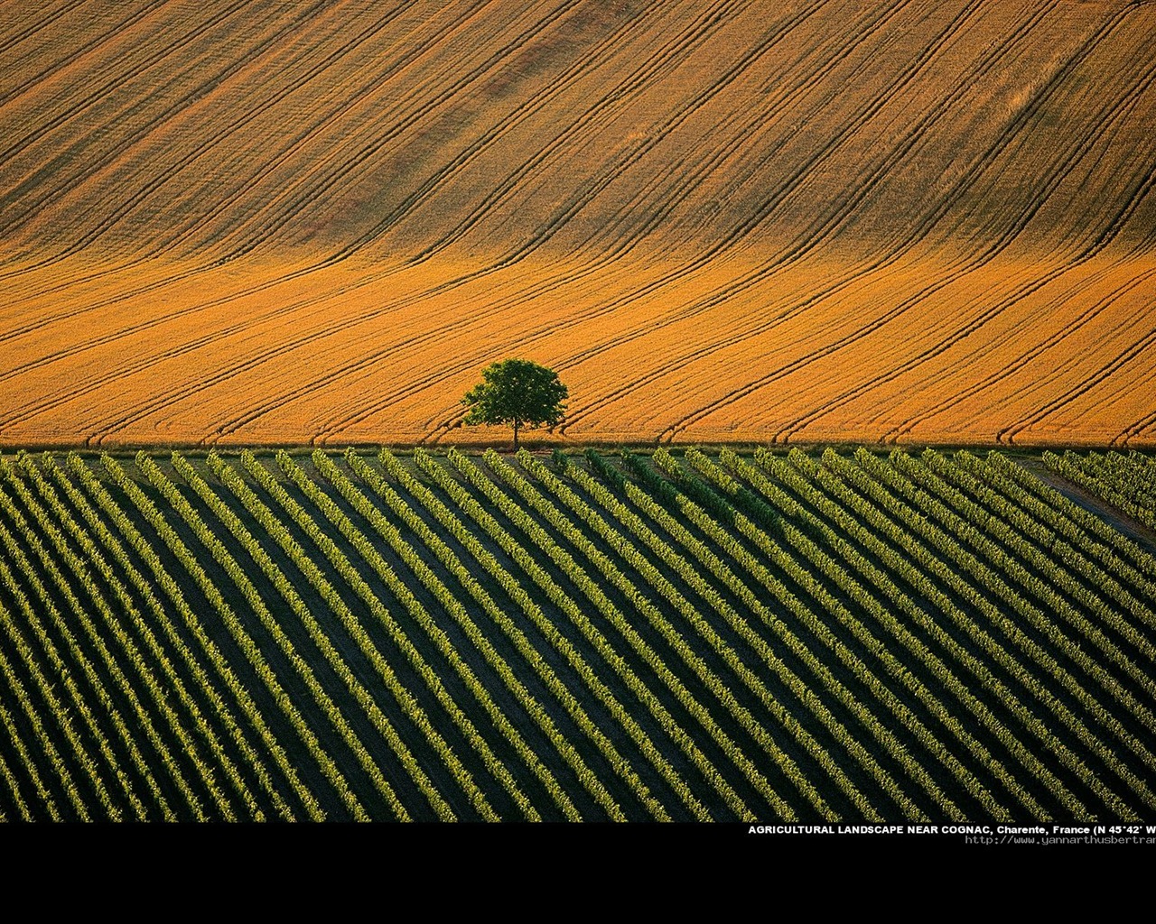 Letecké fotografie zázraky na plochu #17 - 1280x1024
