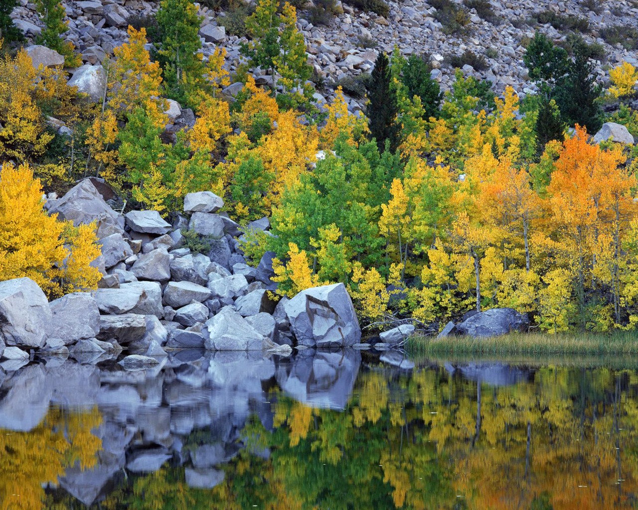 Four Seasons Landscape wallpaper (2) #11 - 1280x1024