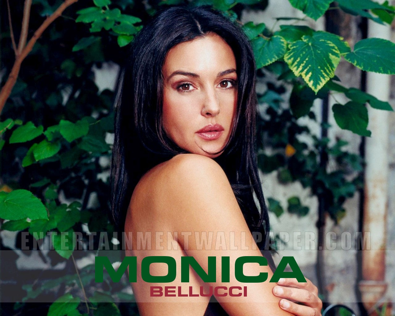 Monica Bellucci wallpaper #3 - 1280x1024