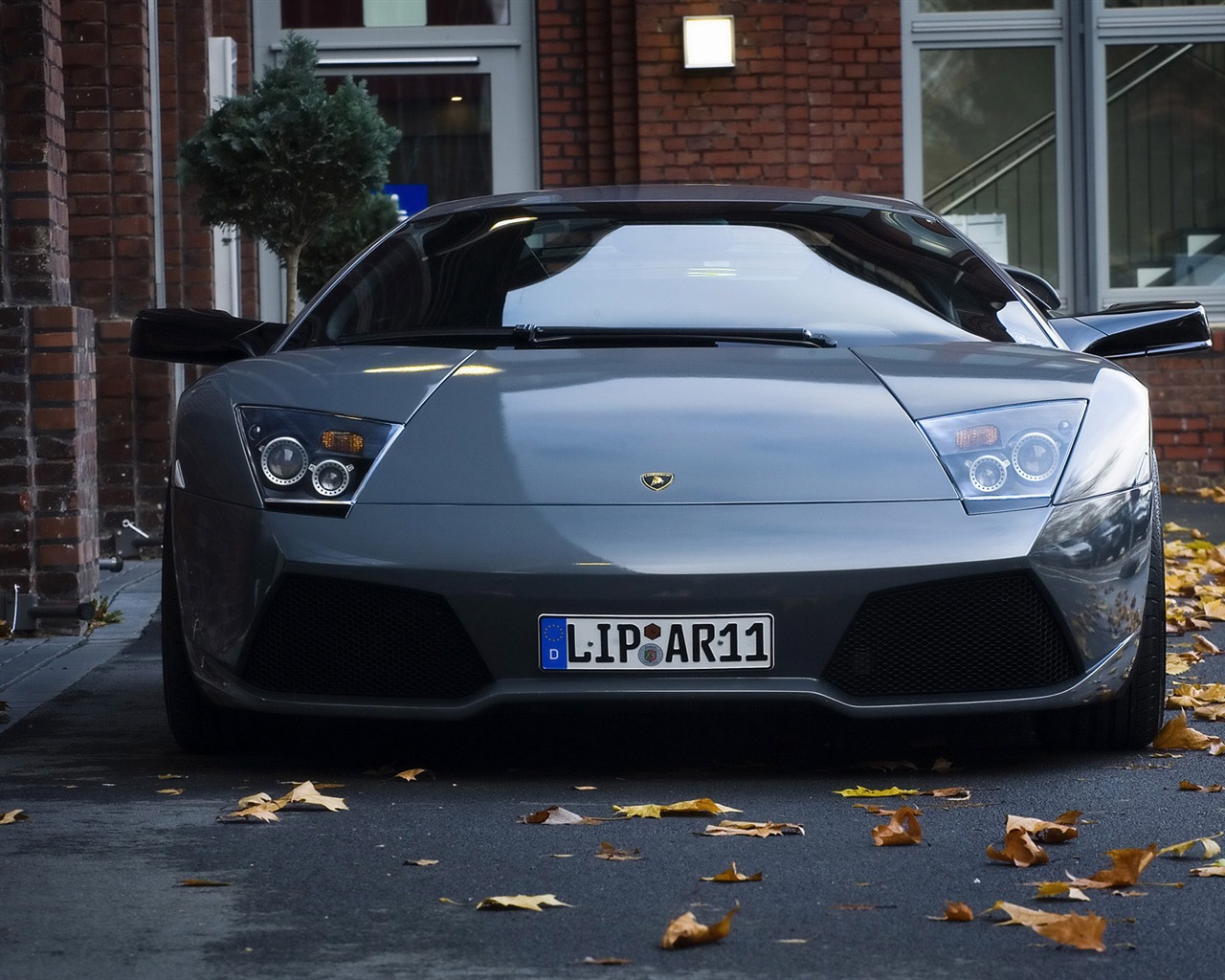 Enfriar coches Lamborghini Wallpaper #1 - 1280x1024