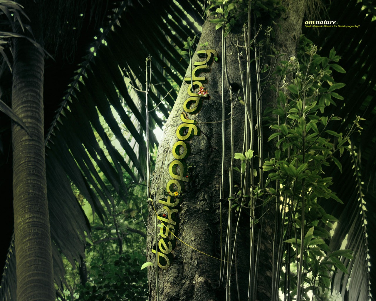 New Creative Design Wallpaper #5 - 1280x1024
