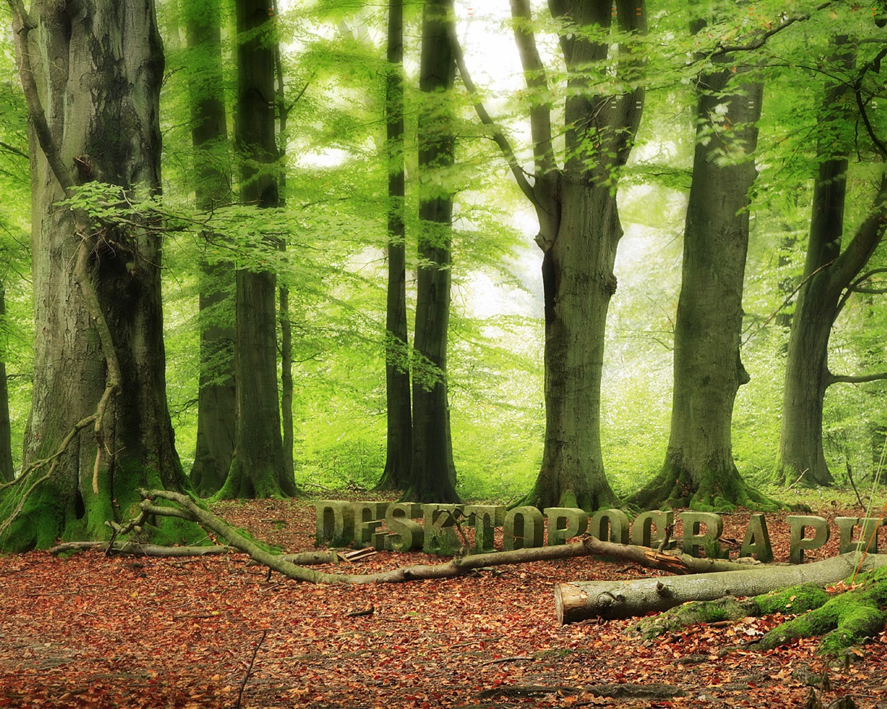 New Creative Design Wallpaper #38 - 1280x1024