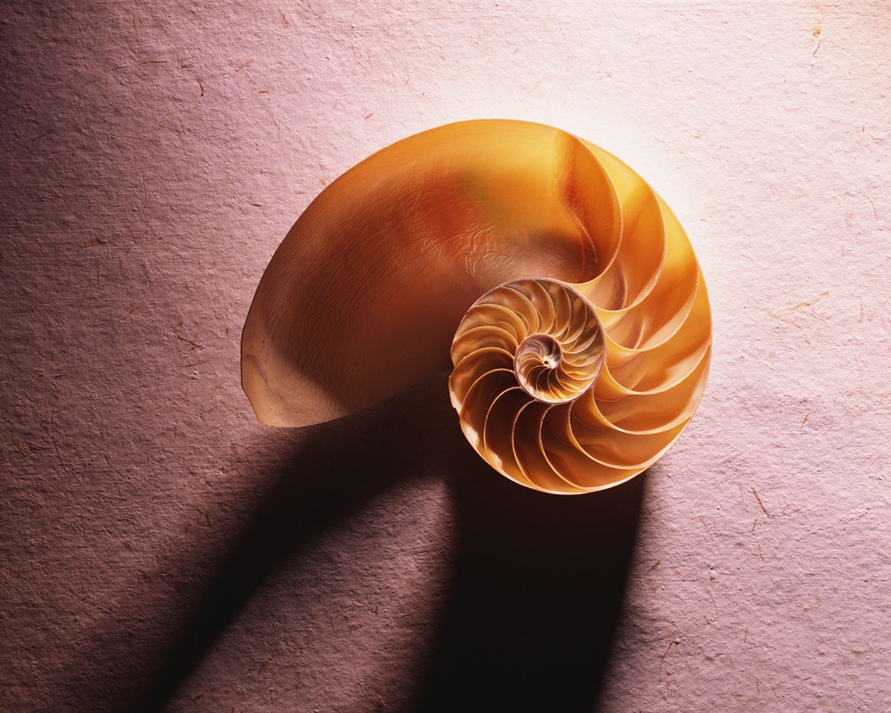 Millennium biological Wallpaper #11 - 1280x1024