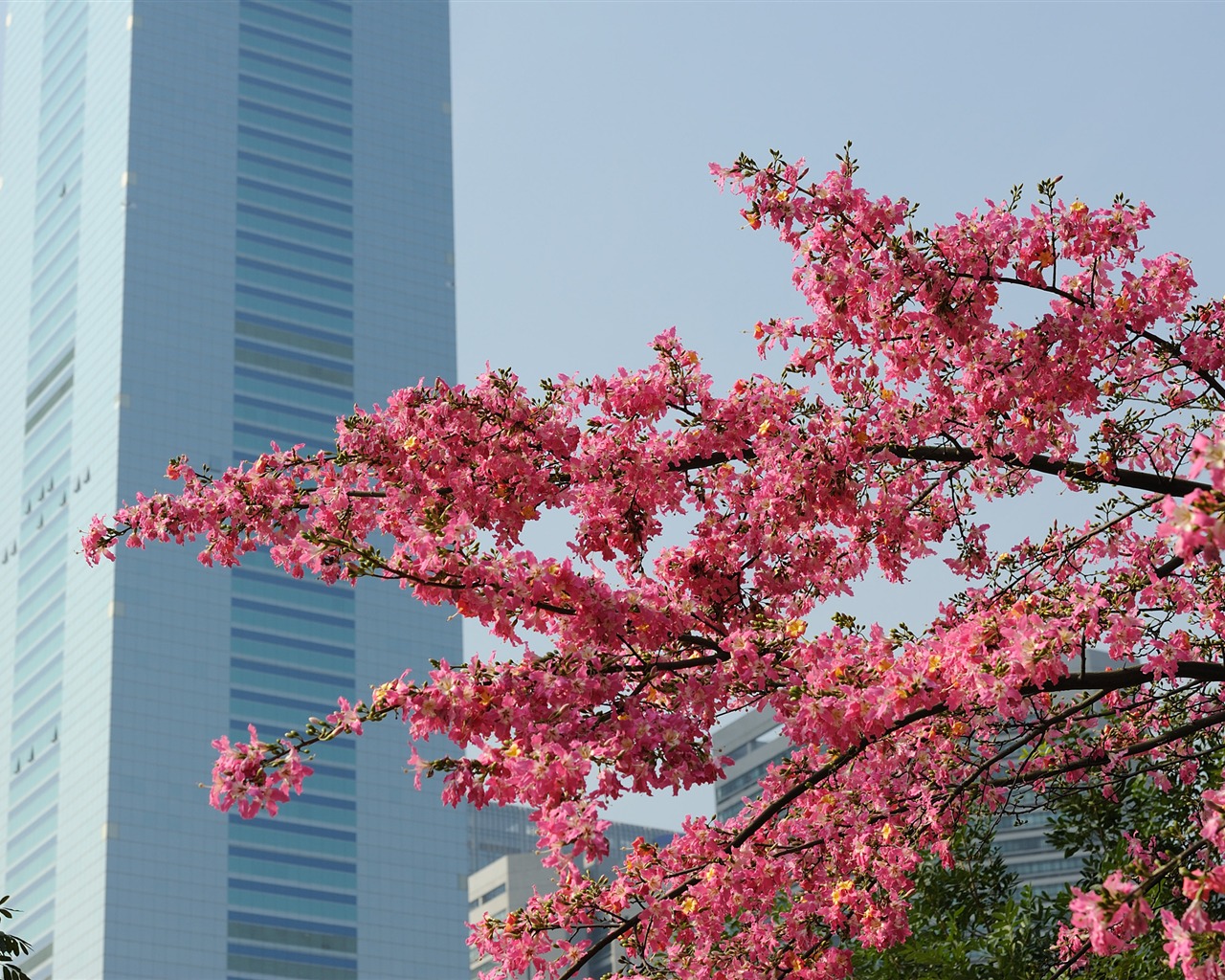 Nikon D700 proofs Wallpaper #11 - 1280x1024