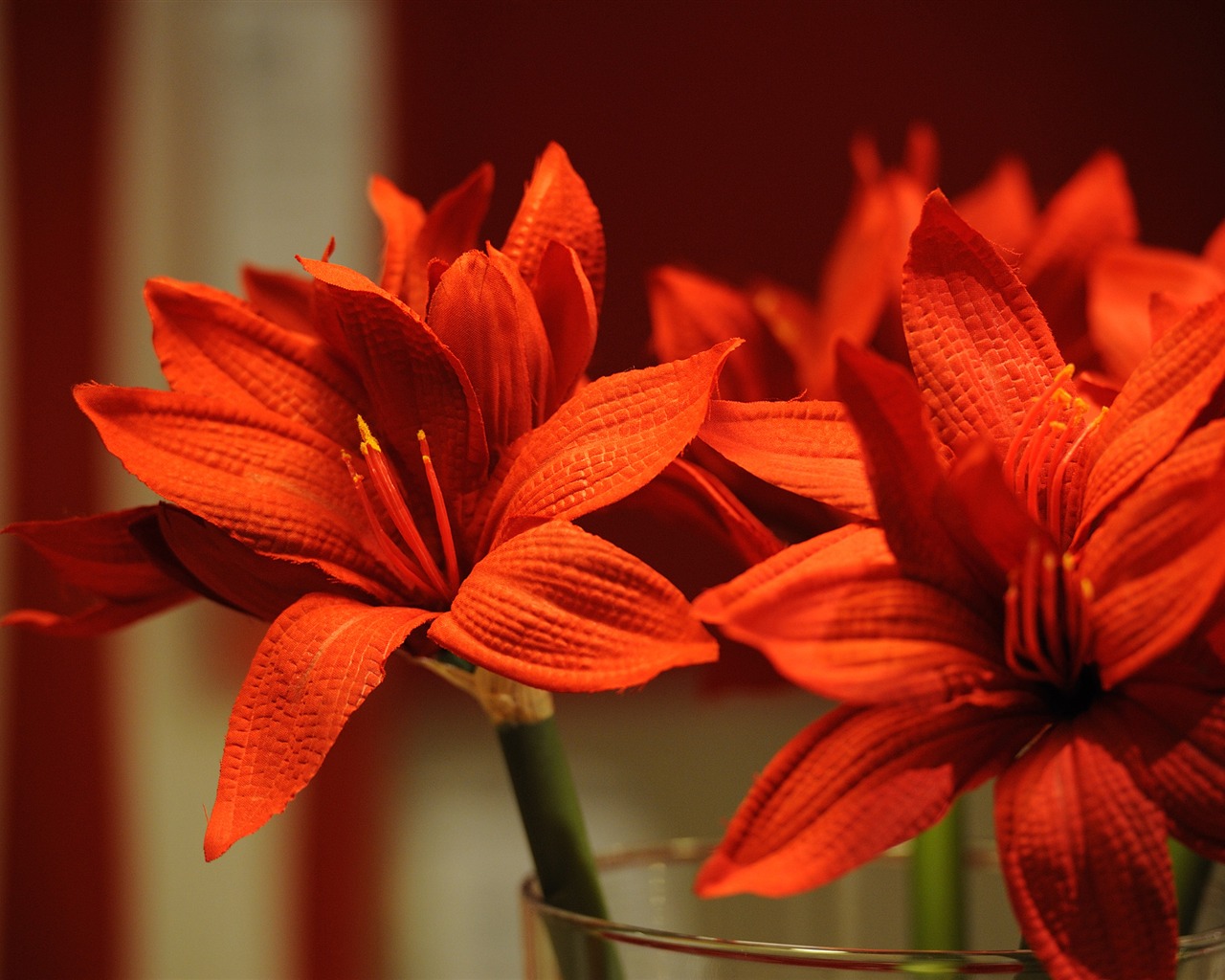 Nikon D700 proofs Wallpaper #26 - 1280x1024