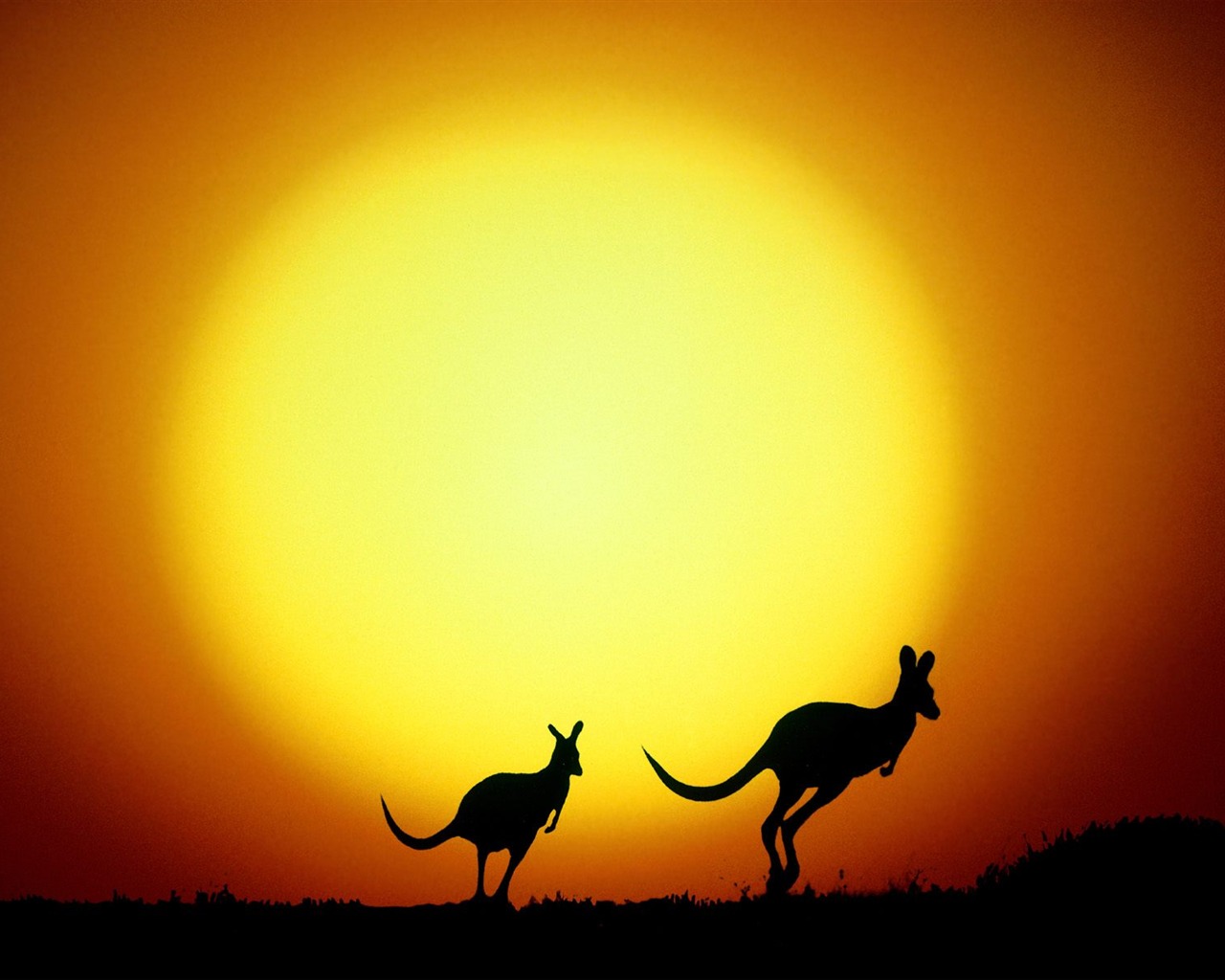 澳大利亚特色美丽风景18 - 1280x1024