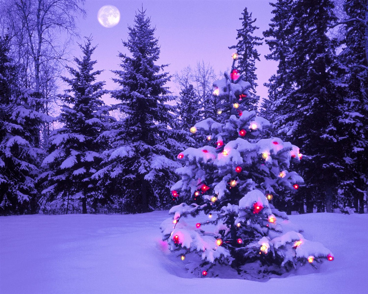 Christmas landscaping series wallpaper (4) #1 - 1280x1024