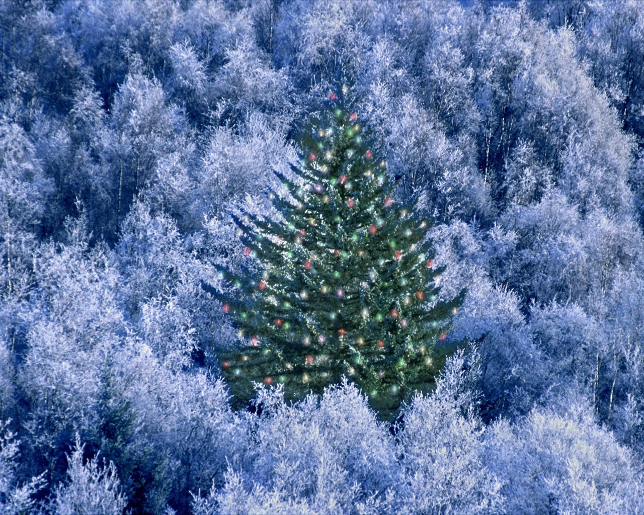 vánoční krajiny sérii tapet (4) #15 - 1280x1024