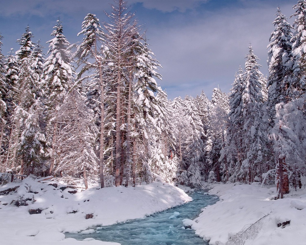 Webshots Krajina Tapety na plochu (1) #4 - 1280x1024