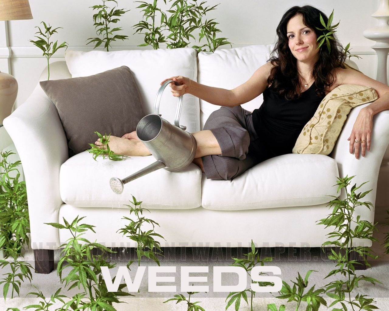 Weeds 單身毒媽 #2 - 1280x1024