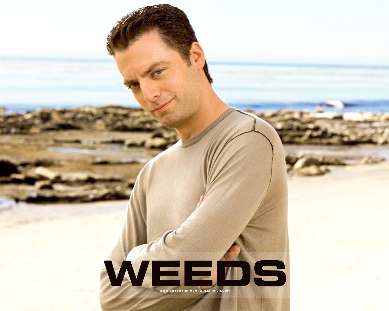 Weeds wallpaper #9 - 1280x1024