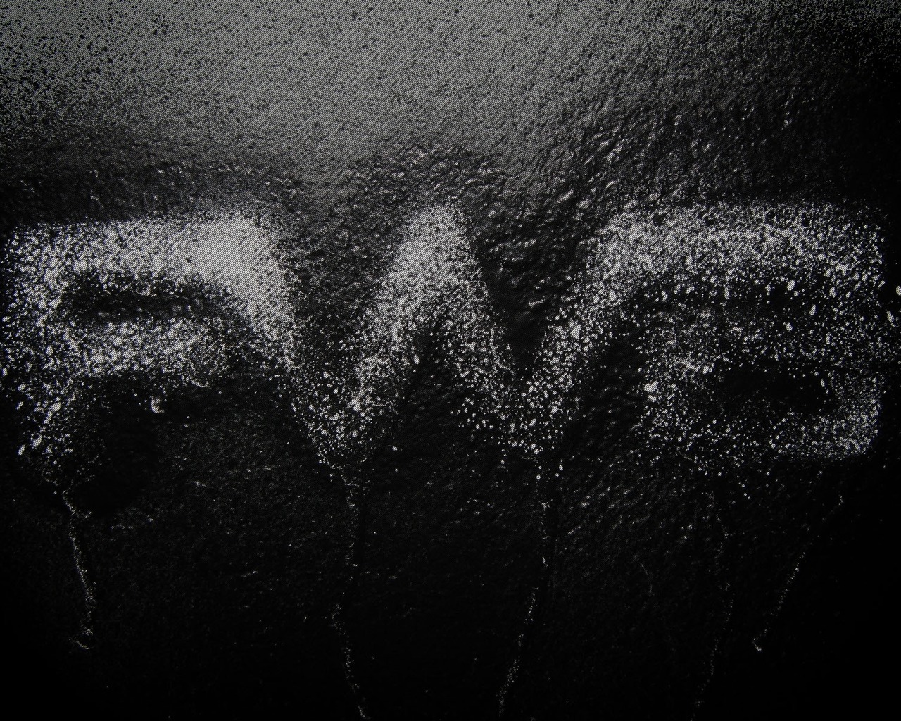 FWA Black Album na plochu #11 - 1280x1024