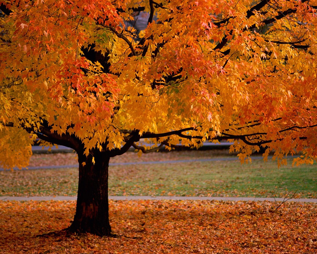 Otoño fondos de escritorio de bellos paisajes #2 - 1280x1024