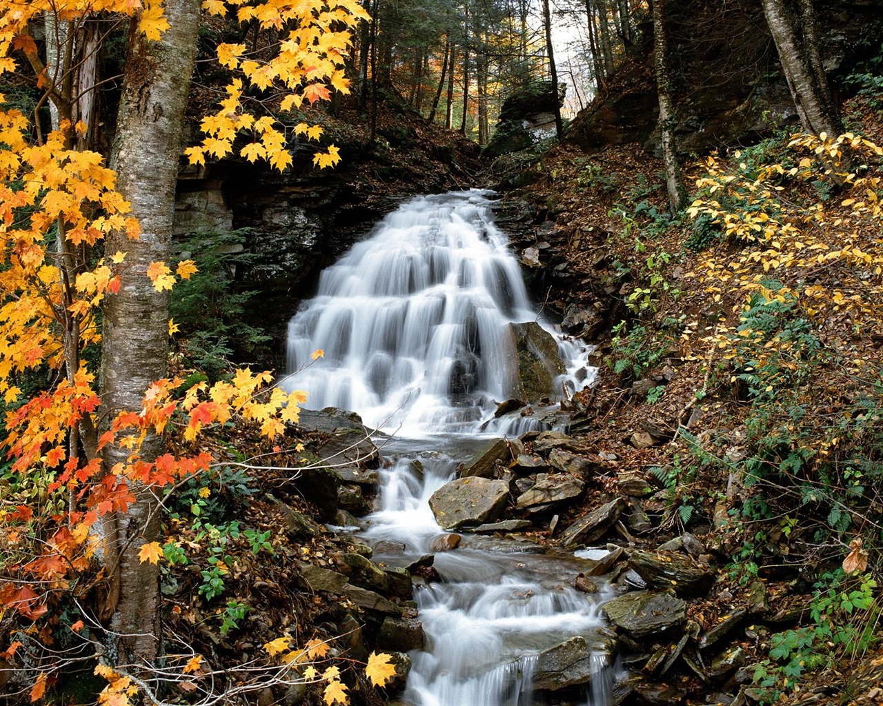 Autumn scenery beautiful wallpaper #11 - 1280x1024