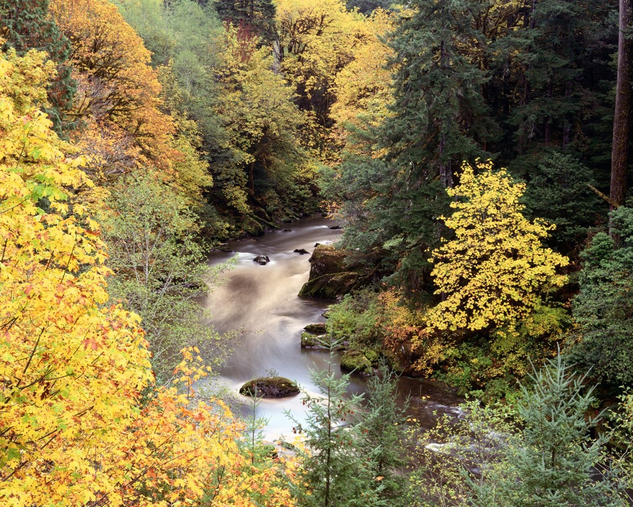 Herbstlandschaft schöne Tapete #12 - 1280x1024