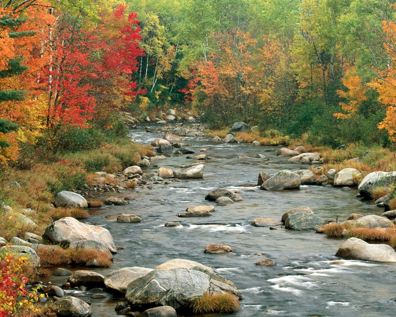 Herbstlandschaft schöne Tapete #15 - 1280x1024