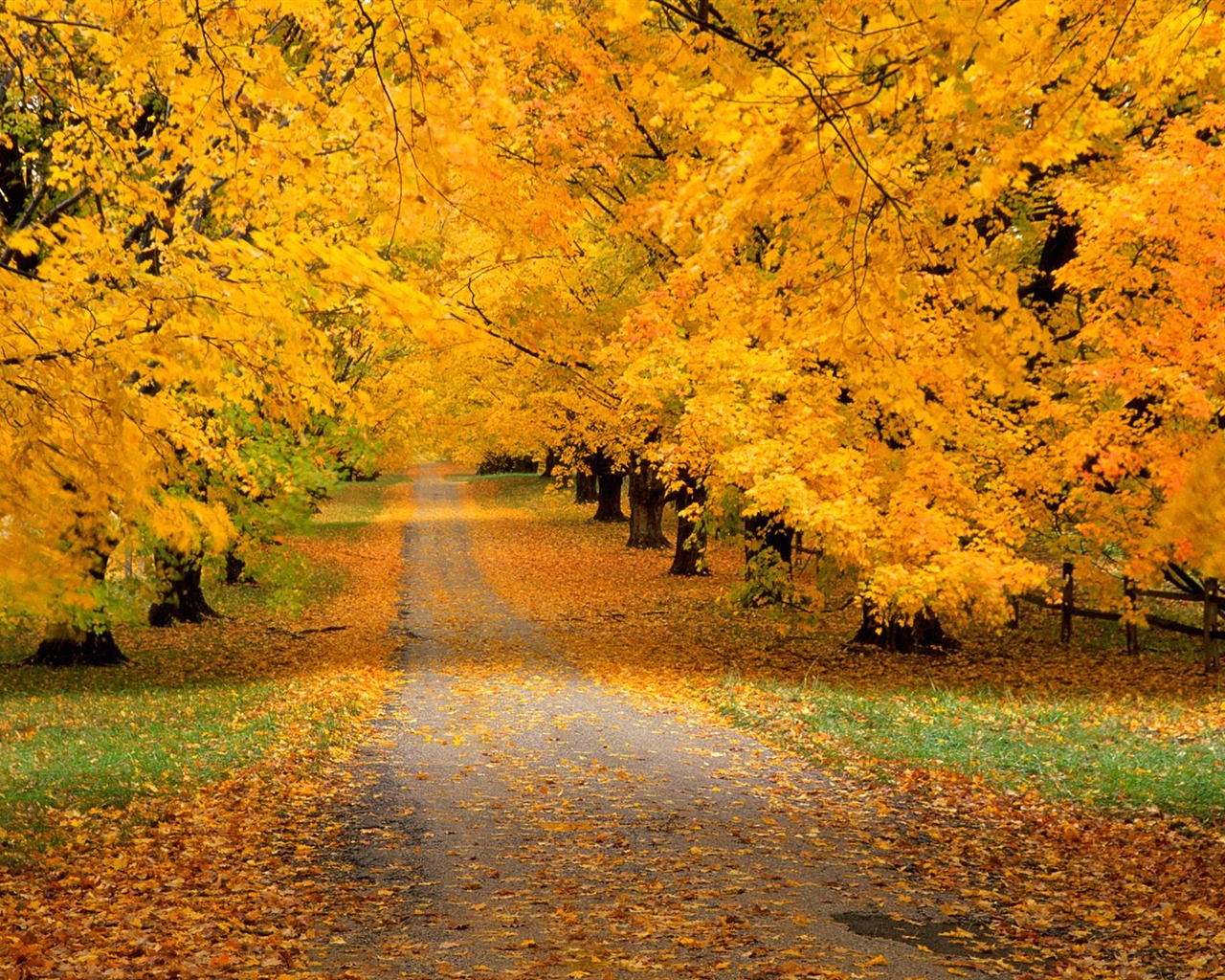 秋の風景の美しい壁紙 #16 - 1280x1024