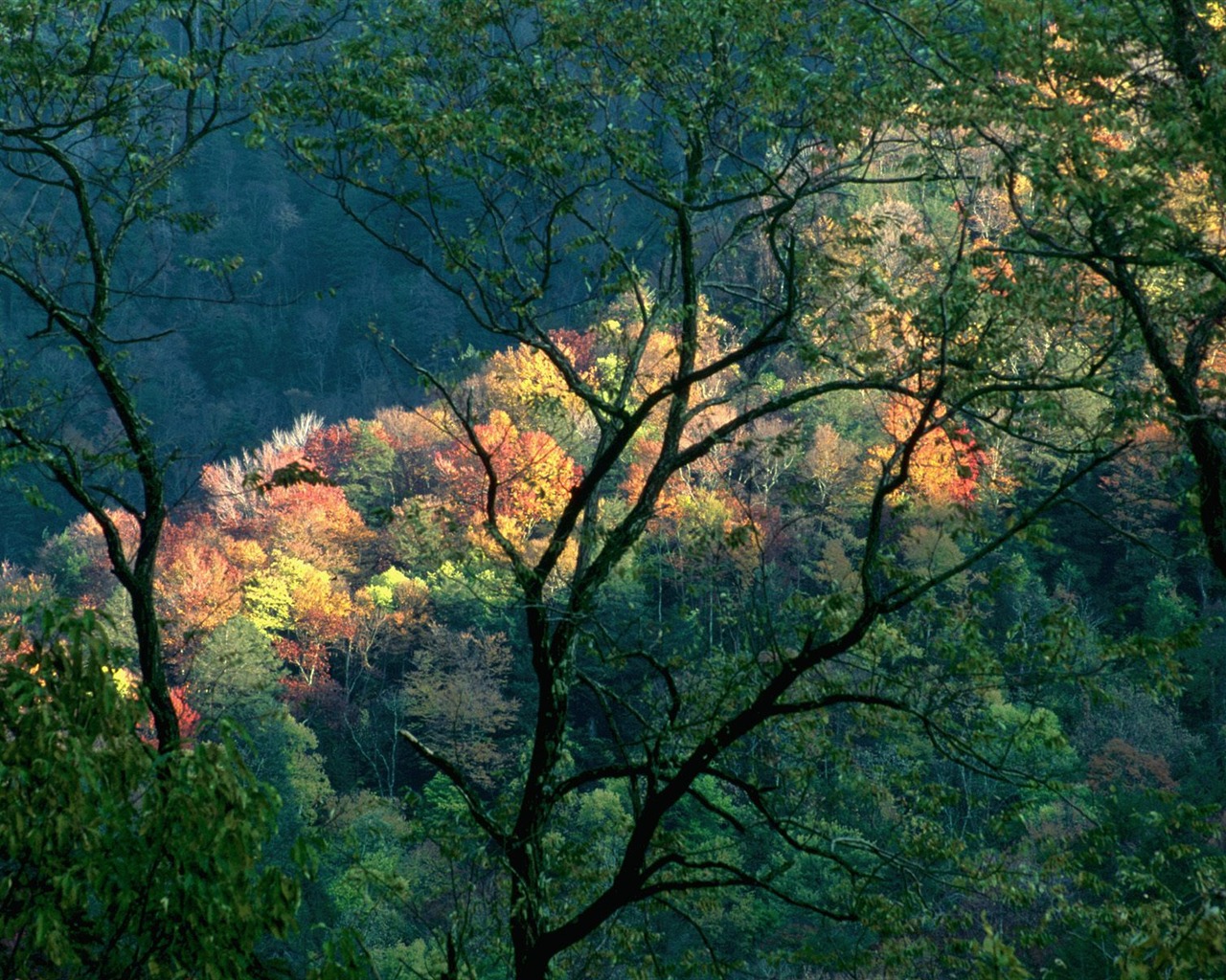 Herbstlandschaft schöne Tapete #22 - 1280x1024