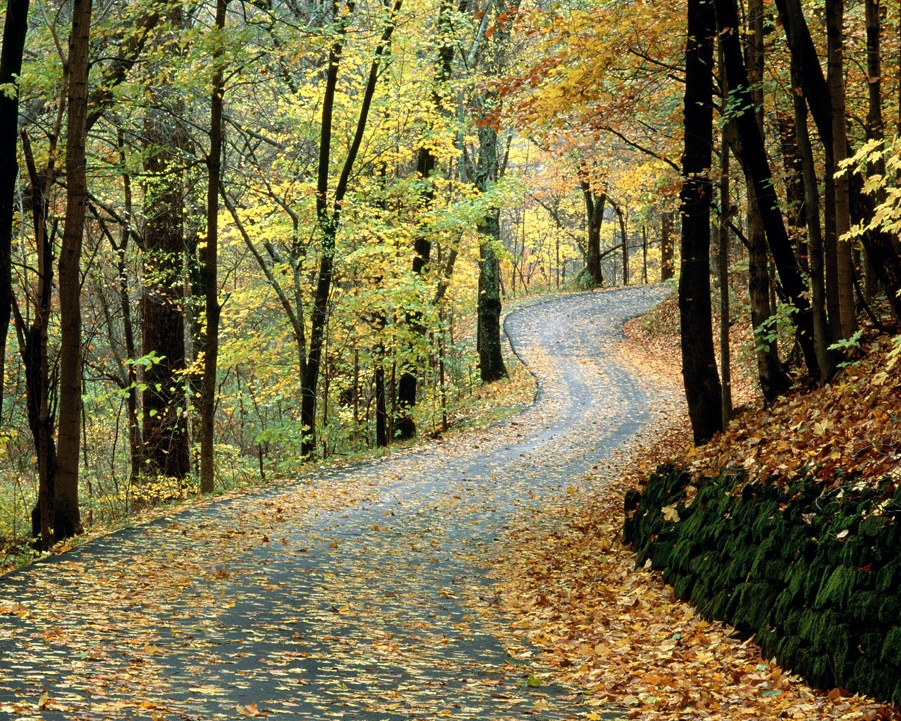 Herbstlandschaft schöne Tapete #23 - 1280x1024