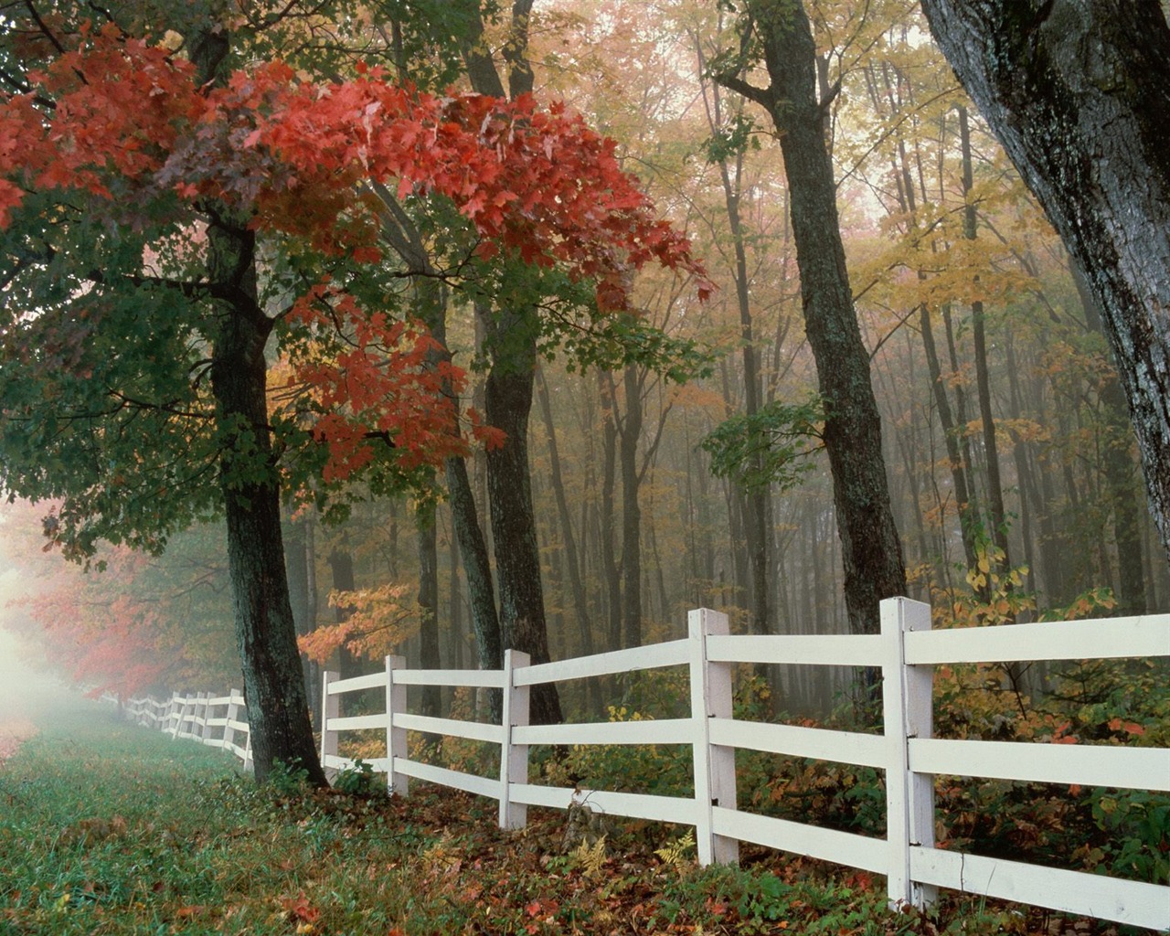 Herbstlandschaft schöne Tapete #24 - 1280x1024