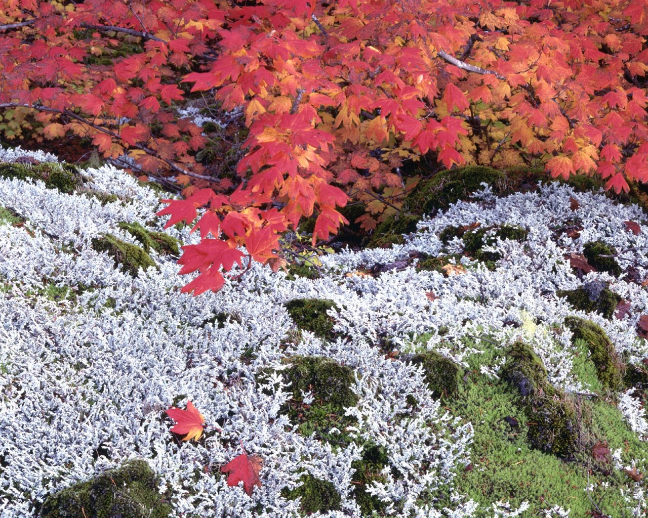 Otoño fondos de escritorio de bellos paisajes #25 - 1280x1024