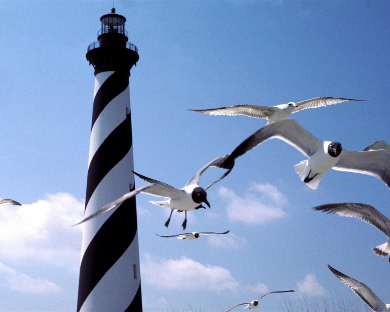 Coastal Lighthouse HD Wallpaper #35 - 1280x1024