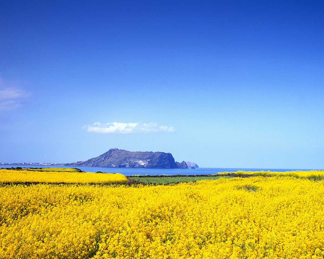 Windows7 official theme wallpaper #5 - 1280x1024