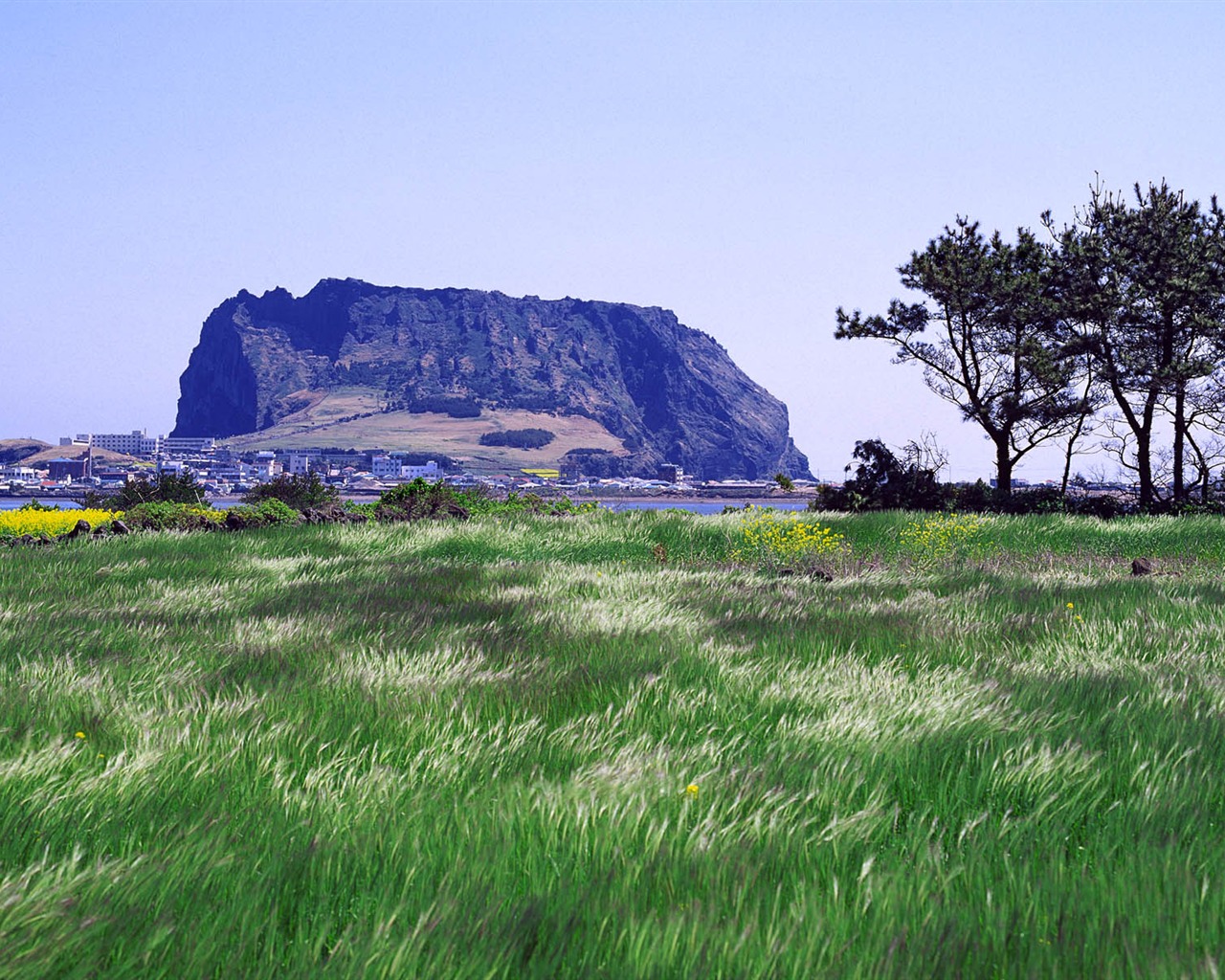 Windows7 官方主題壁紙 #7 - 1280x1024