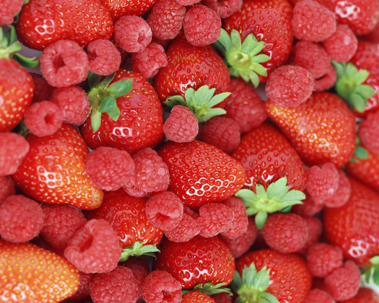 Fond d'écran aux fraises fraîches #15 - 1280x1024