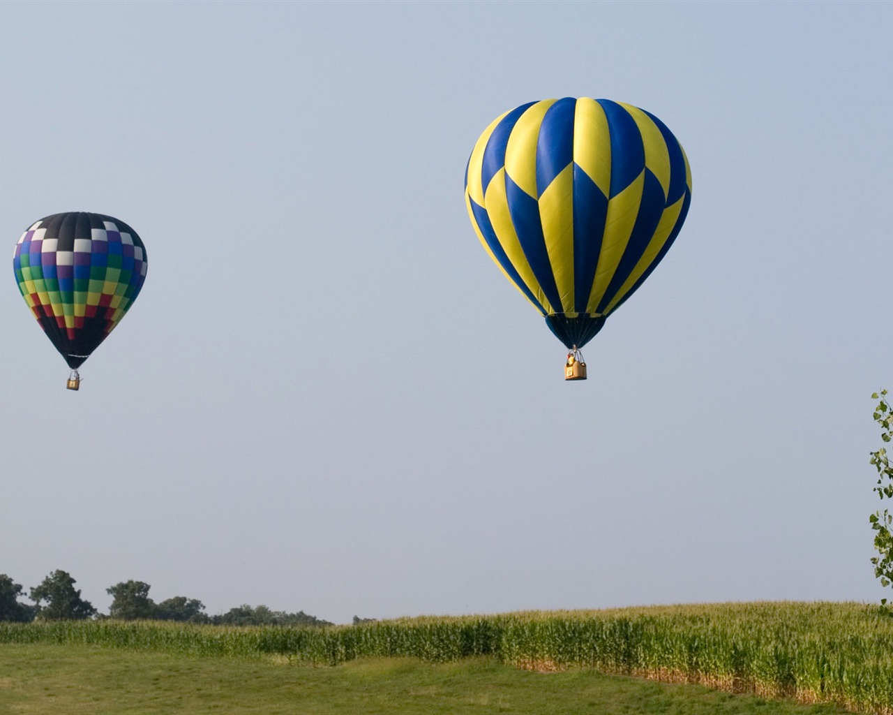 Hot air balloon wallpaper #19 - 1280x1024