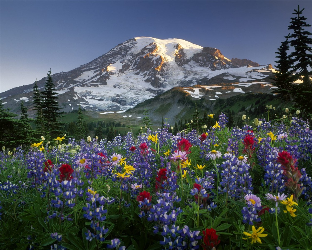 Webshots Scenery Wallpapers (2) #6 - 1280x1024