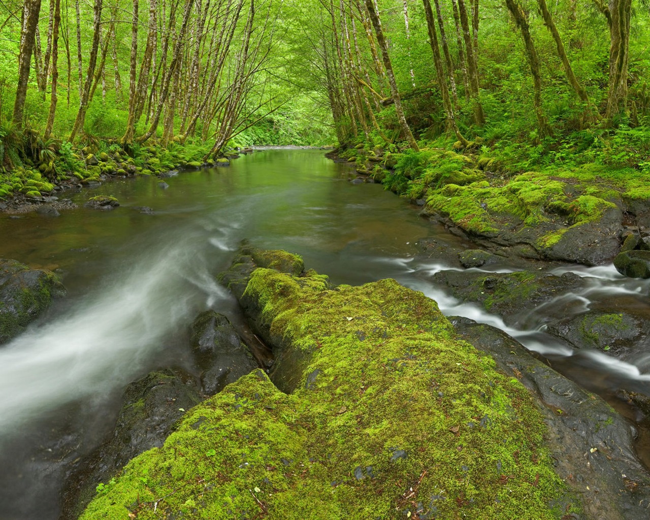 Water streams HD Wallpapers #11 - 1280x1024