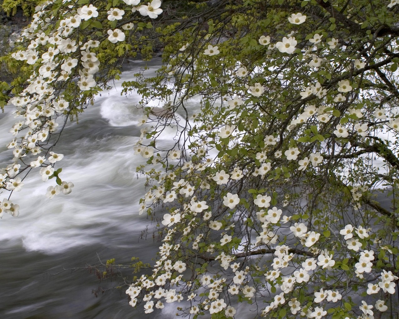 Water streams HD Wallpapers #12 - 1280x1024