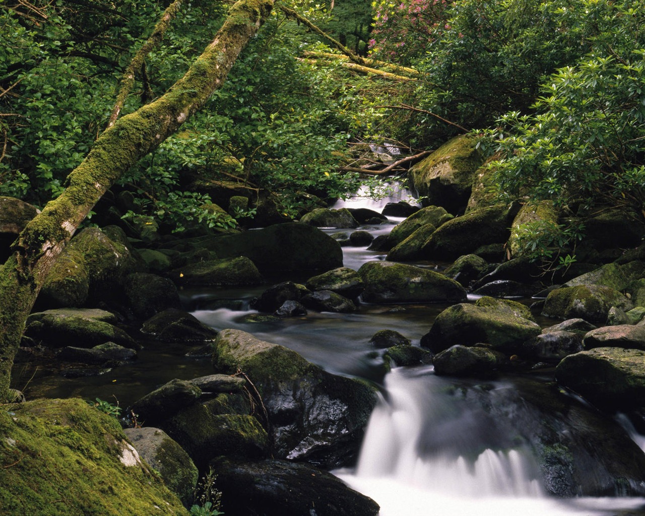 Water streams HD Wallpapers #14 - 1280x1024