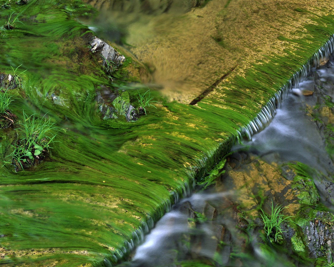Water streams HD Wallpapers #16 - 1280x1024