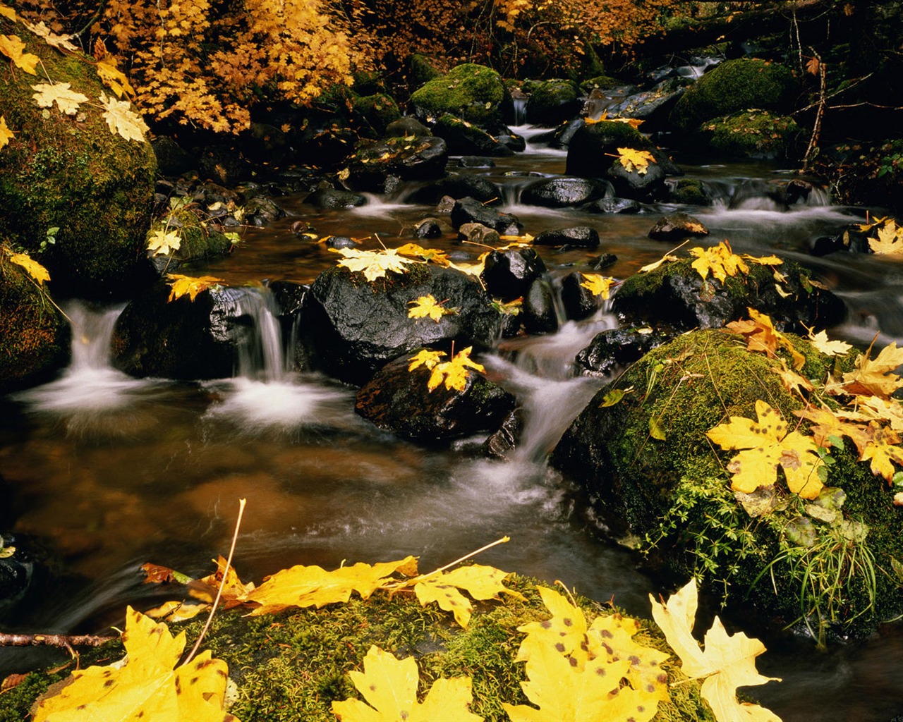 Water streams HD Wallpapers #17 - 1280x1024