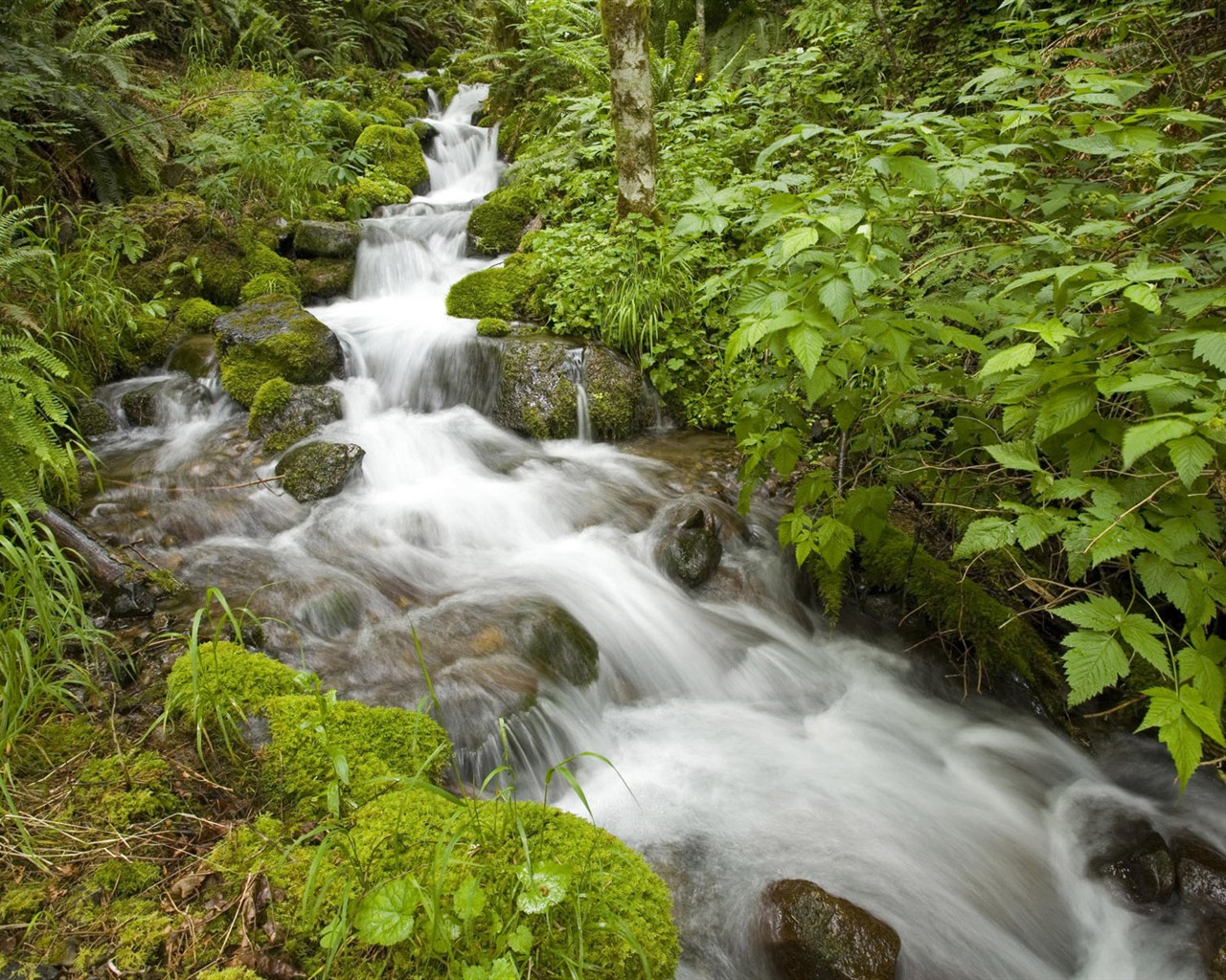 Water streams HD Wallpapers #24 - 1280x1024