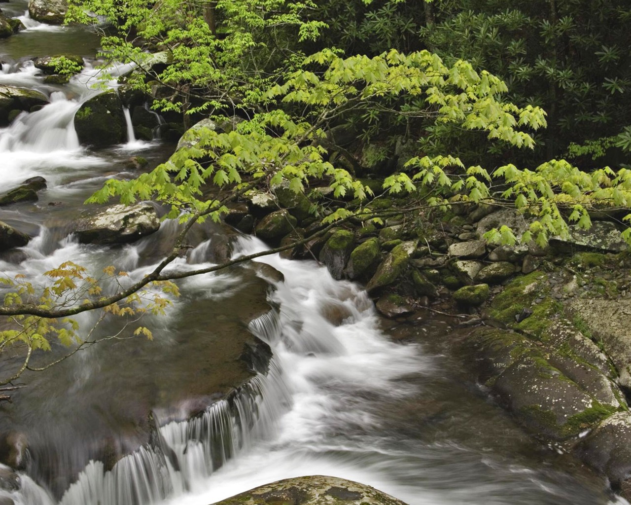 Corrientes de agua HD Wallpapers #29 - 1280x1024