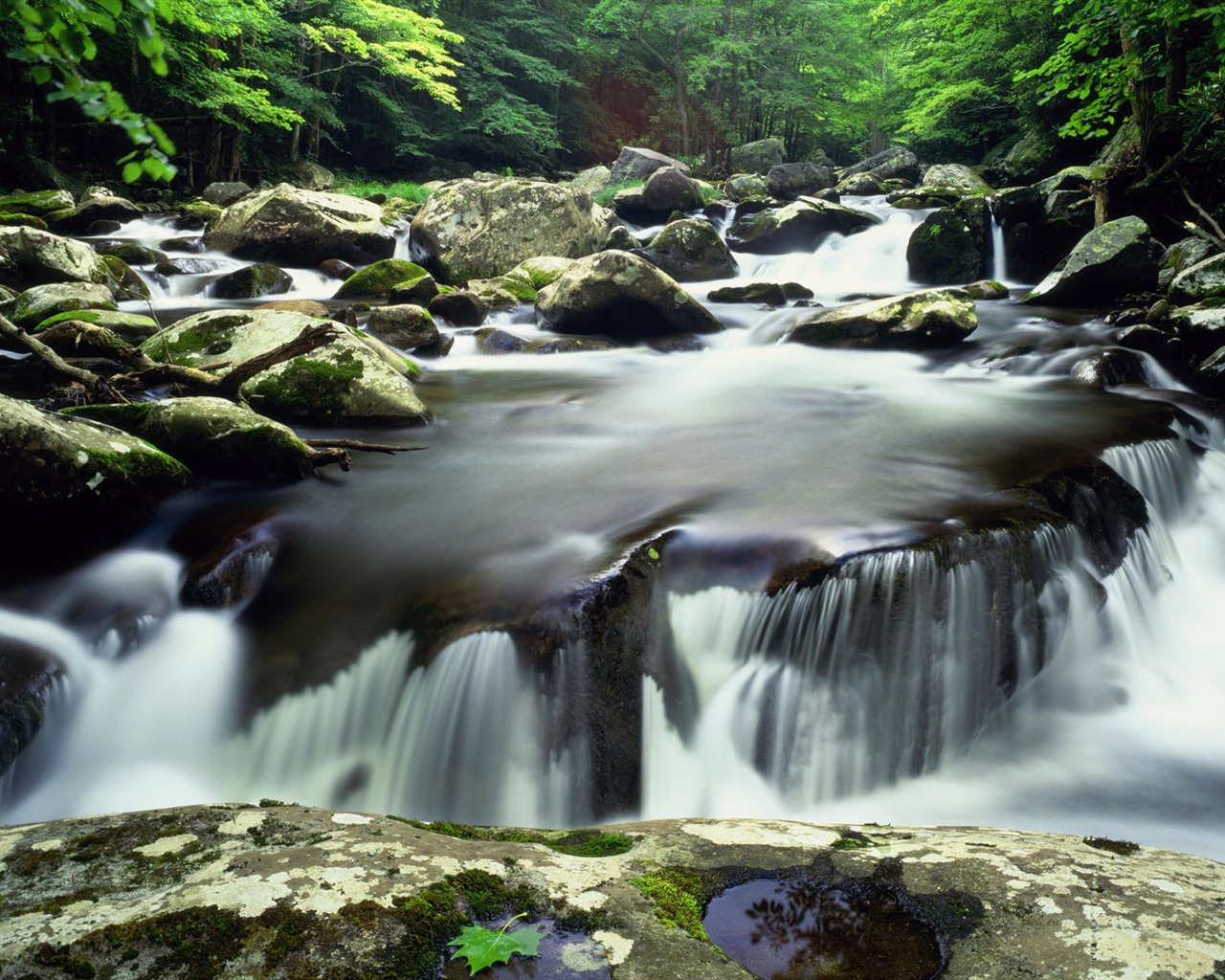 溪流河水高清壁紙 #30 - 1280x1024