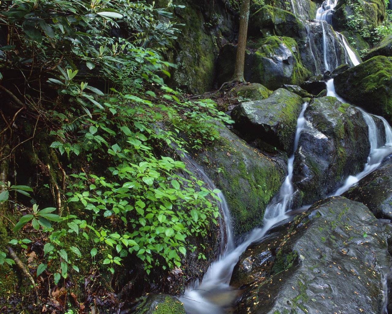 Water streams HD Wallpapers #33 - 1280x1024