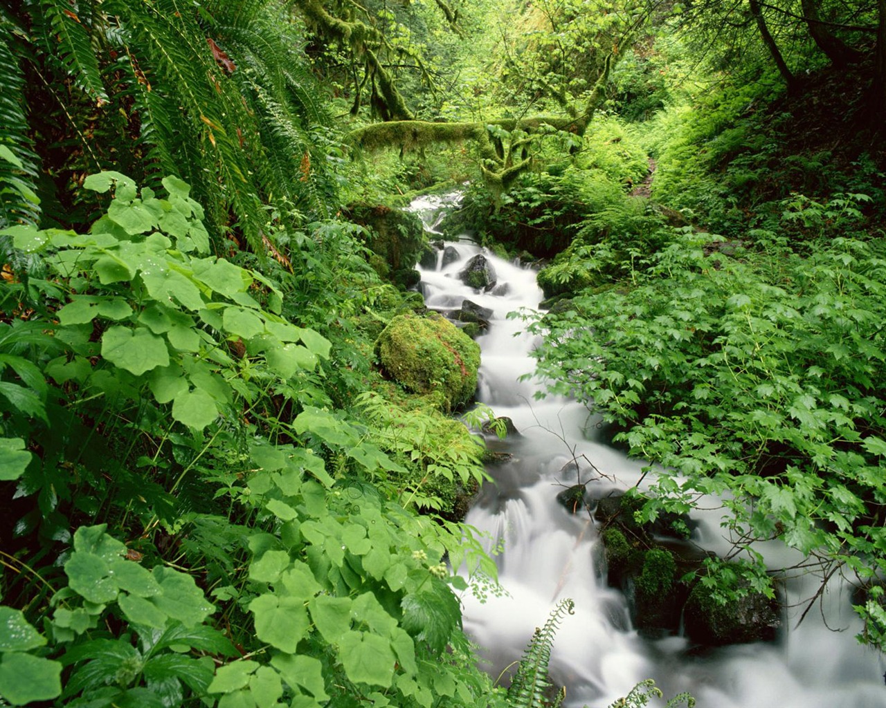 Vodní toky HD Tapety na plochu #34 - 1280x1024