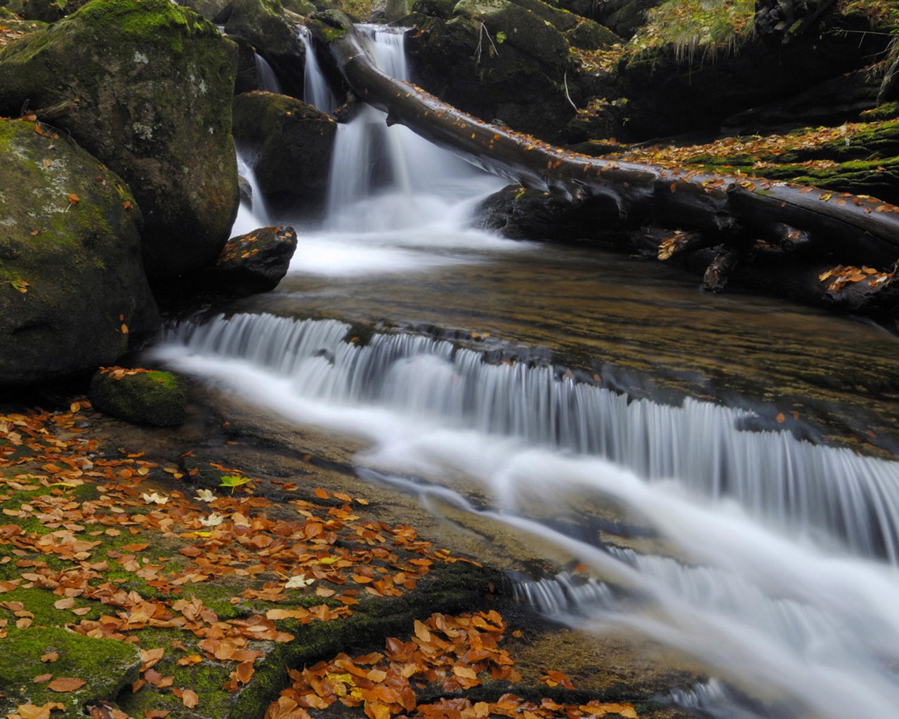 Vodní toky HD Tapety na plochu #38 - 1280x1024