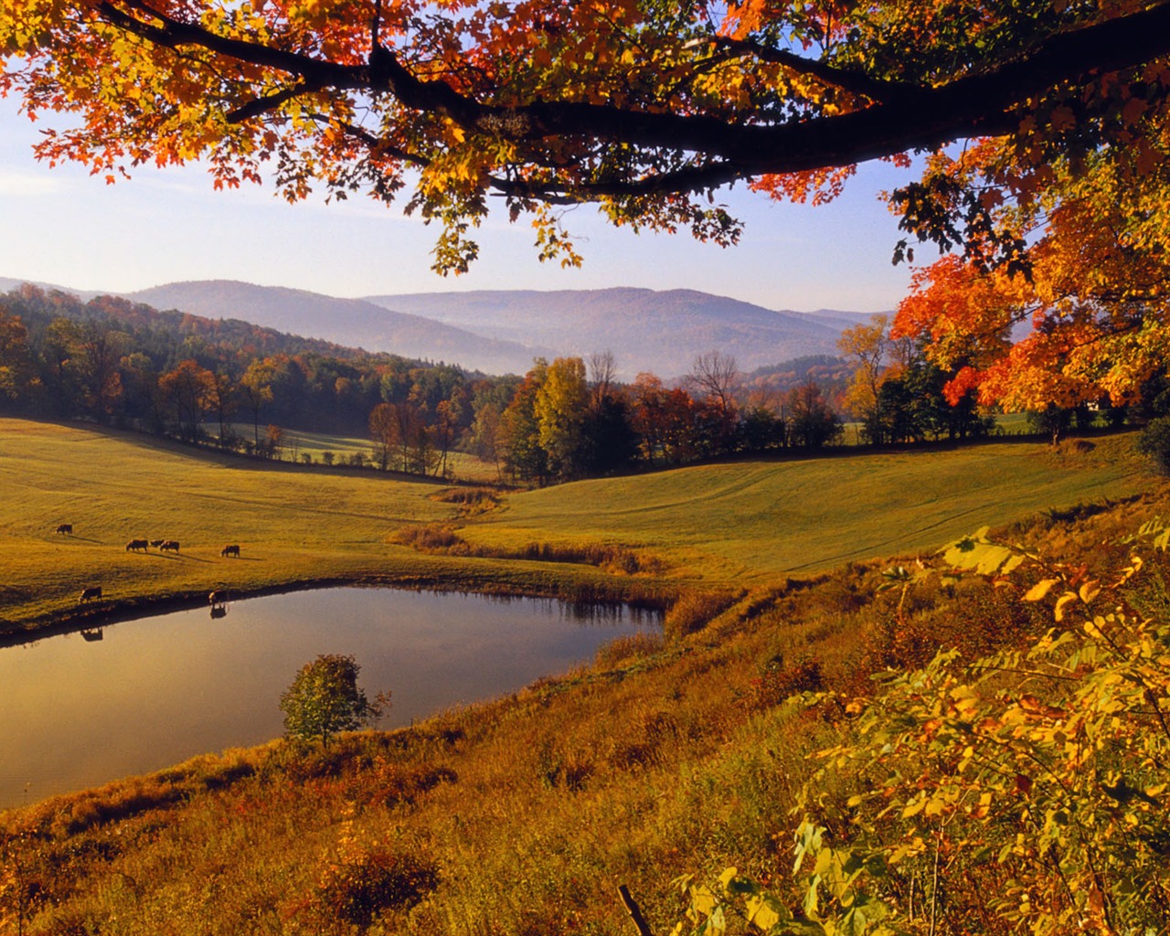 Windows7 official scenic wallpaper #6 - 1280x1024