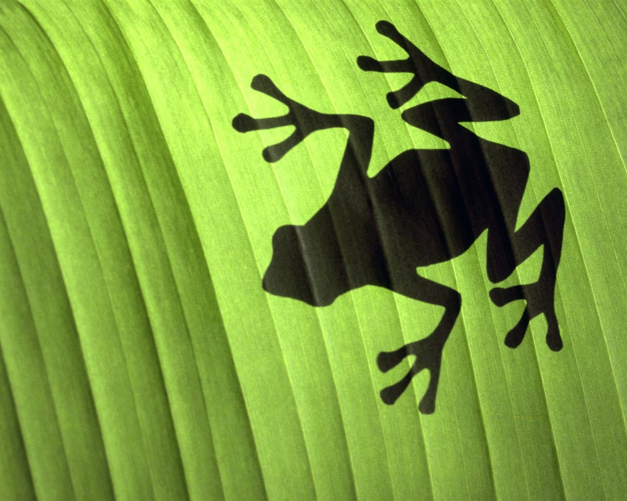 Frog Tapety Album #8 - 1280x1024