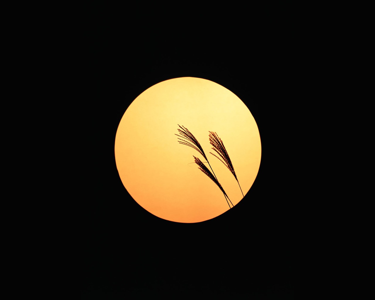 Japonsko zvláštní kulturní wallpaper #49 - 1280x1024